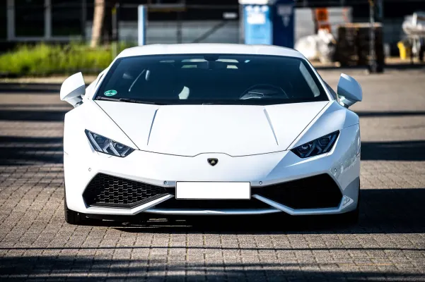 Kasino Dogs Fortune Android/iOS aplikace